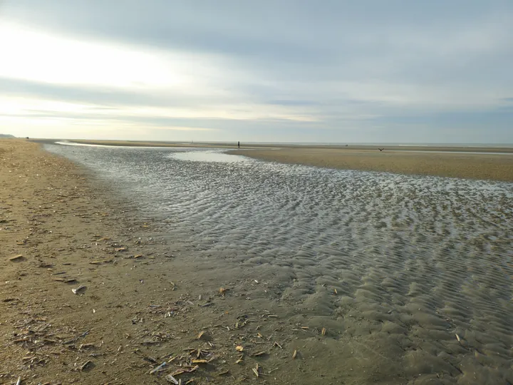 Oostnieuwkerke duinen wandeling in de koude (België)